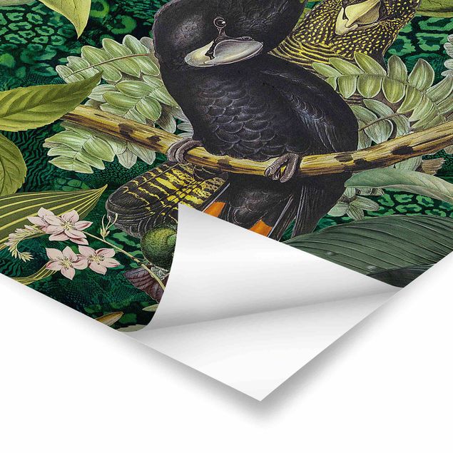 Tableaux de Andrea Haase Collage coloré - Cacatoès dans la jungle