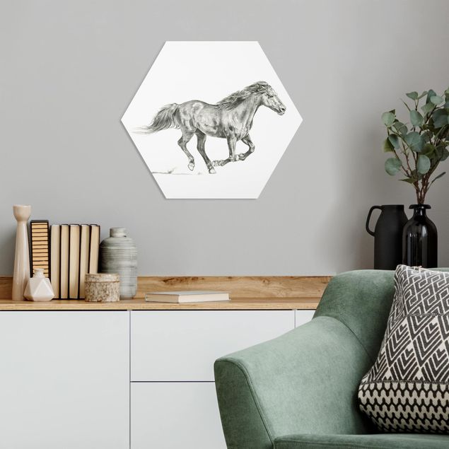 Tableaux modernes Cheval sauvage - Jument