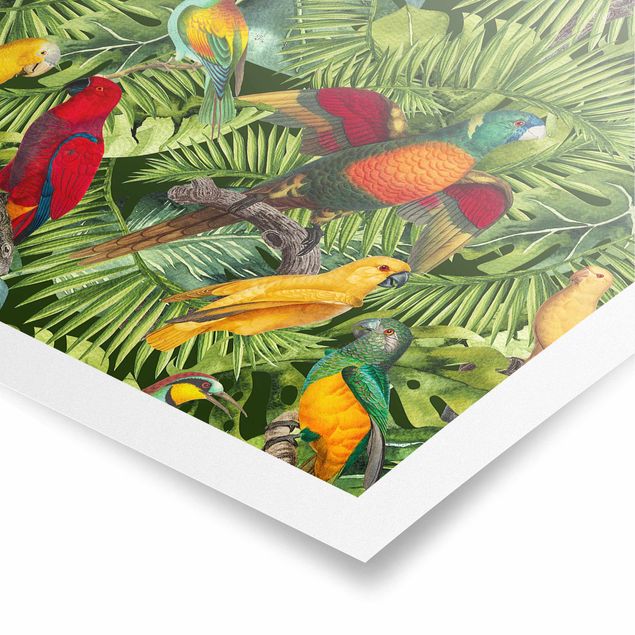 Cadre animaux Collage coloré - Perroquets dans la jungle