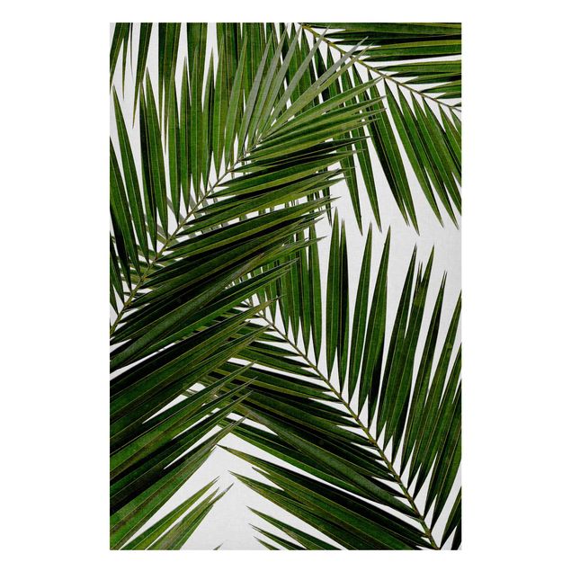 Tableau paysage Vue à travers des feuilles de palmier vertes