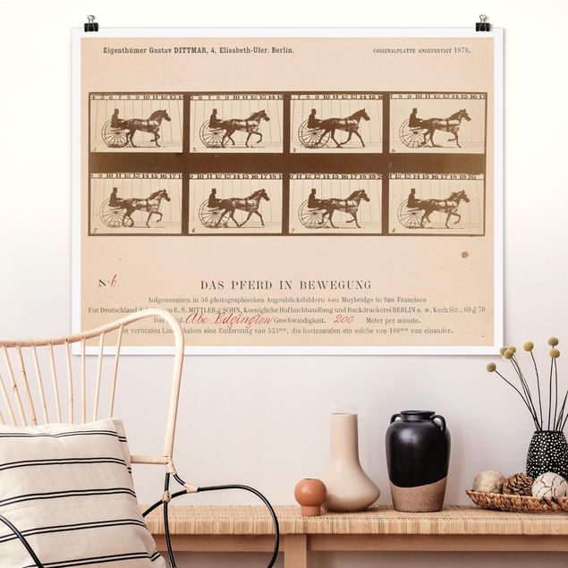 Décorations cuisine Eadweard Muybridge - Le cheval en mouvement