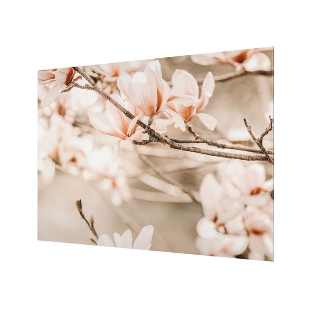 Fonds de hotte - Magnolia Twig Vintage Style - Format paysage 4:3