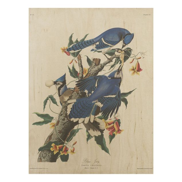 Tableaux en bois avec fleurs Tableau Vintage Blue Jays