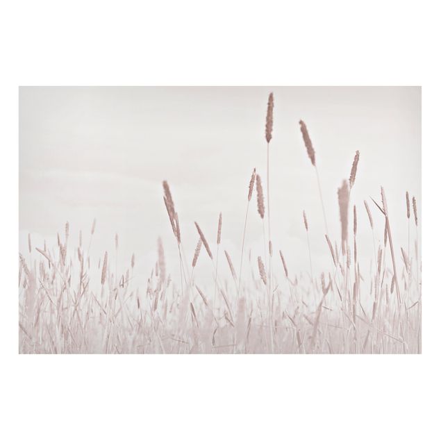 Tableaux magnétiques avec fleurs Summerly Reed Grass