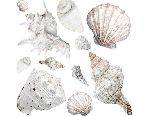 Stickers muraux iles No.BP24 Exotic Shells