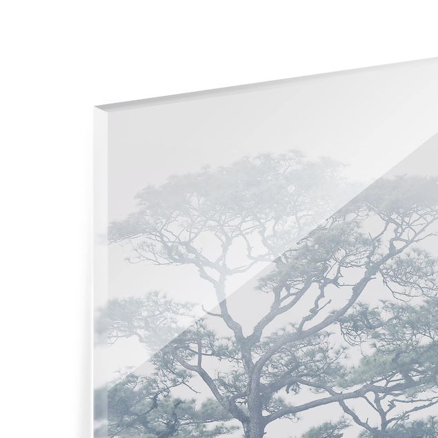 Fond de hotte - Treetops In Fog
