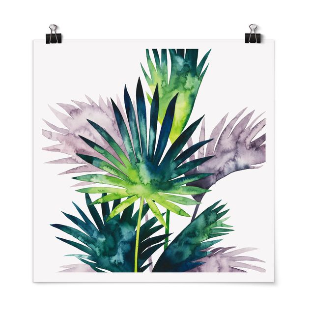 tableaux floraux Feuillage exotique - Fan Palm