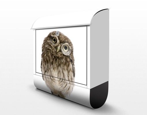 Boite aux lettres - Curious Owl