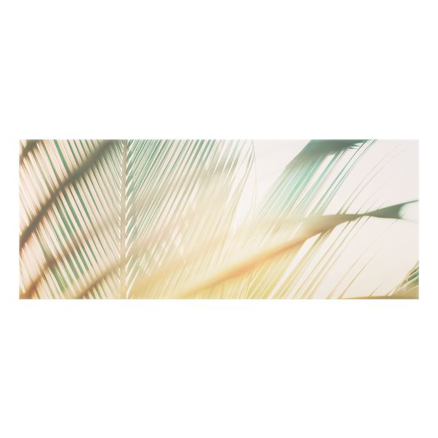Fond de hotte - Tropical Plants Palms At Sunset II