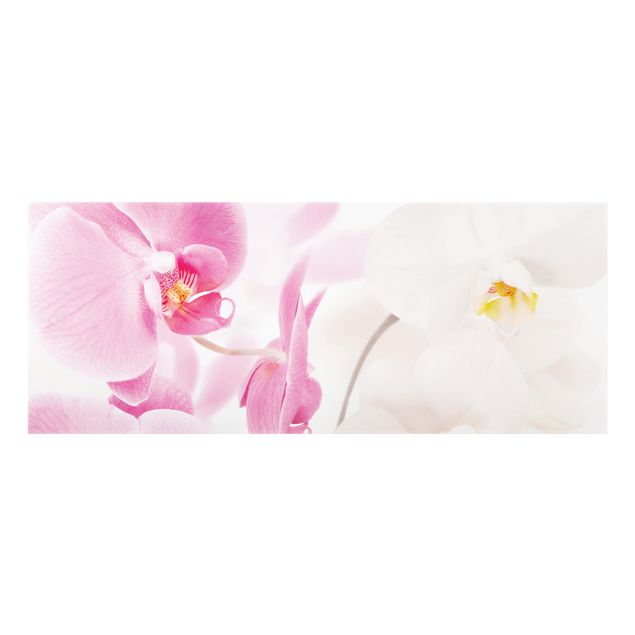 Fond de hotte - Delicate Orchids