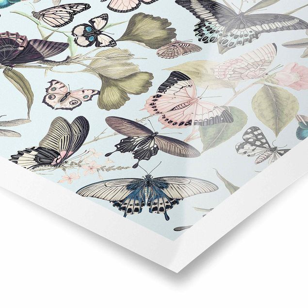 Tableau multicolor Collage Vintage - Papillons et Libellules