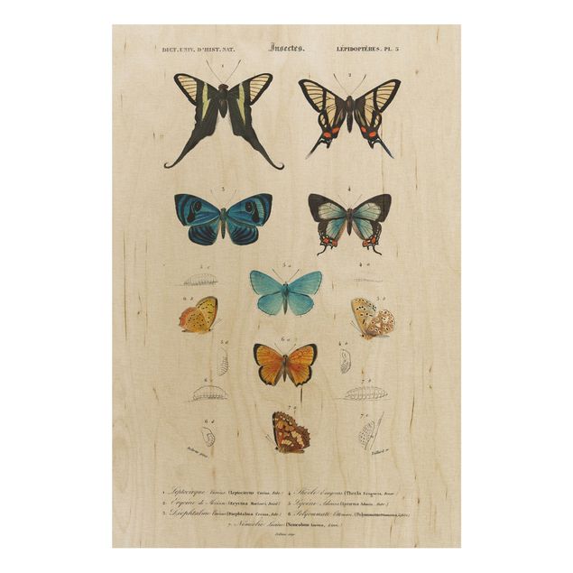 Tableau vintage bois Tableau Vintage papillons I
