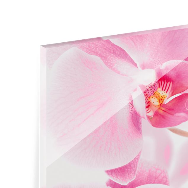Fond de hotte - Delicate Orchids
