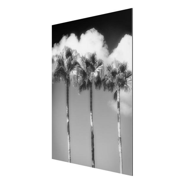 Tableaux moderne Palmiers Contre Le Ciel Noir Et Blanc