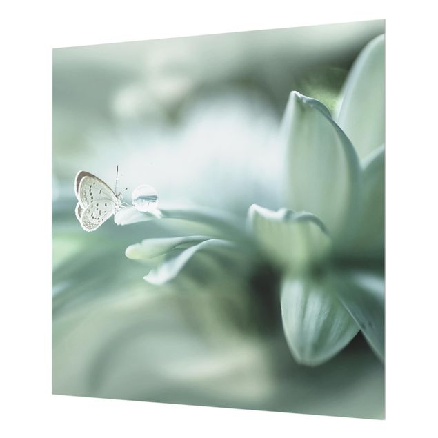 Fond de hotte - Butterfly And Dew Drops In Pastel Green