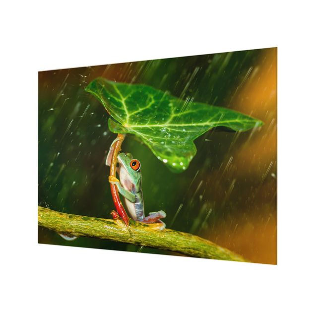 Fond de hotte - A Frog In The Rain