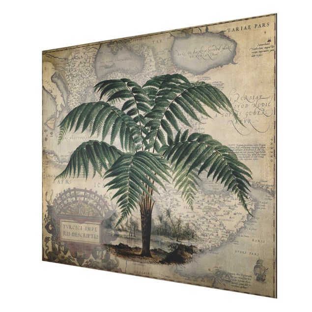 Tableau moderne Collage Vintage - Palmier et carte du monde
