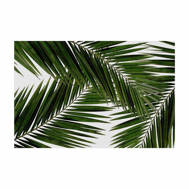 tapis feuille Vue à travers des feuilles de palmier vertes