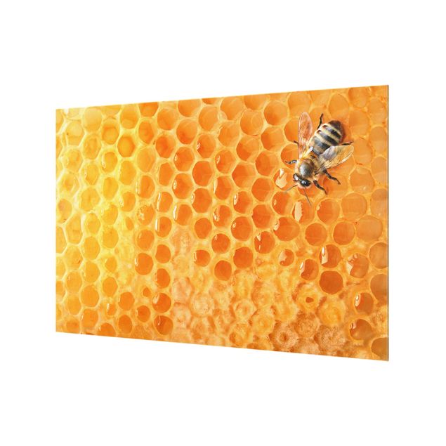 Fond de hotte - Honey Bee