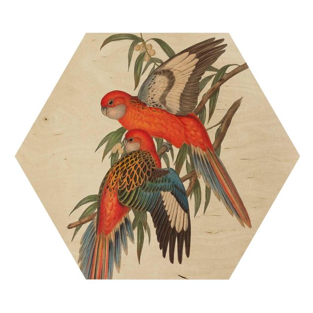 Impression sur bois Tropical Parrot I