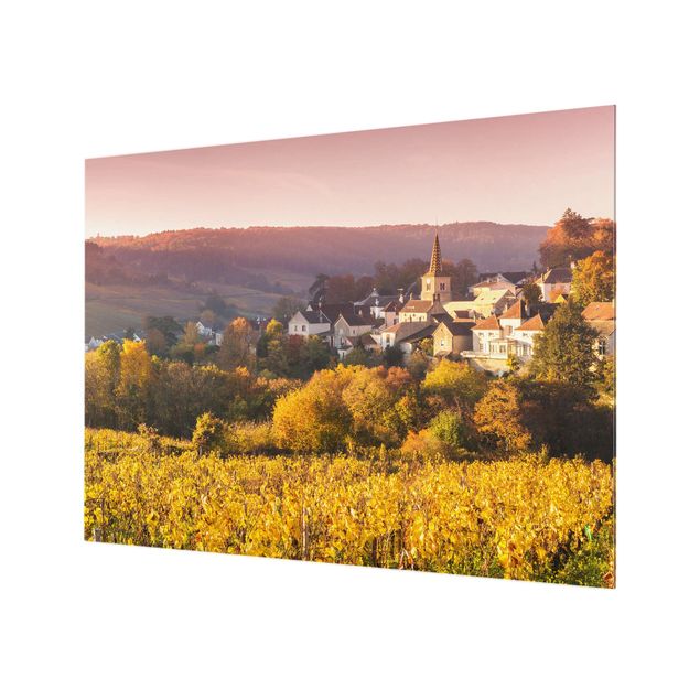 Fond de hotte - Vineyards In France - Format paysage 4:3