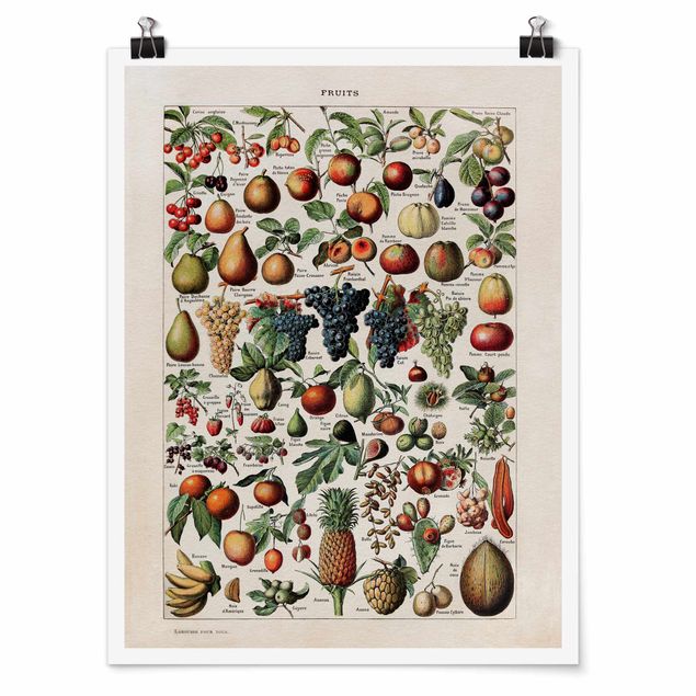 Affiche rétro Tableau Vintage Fruits