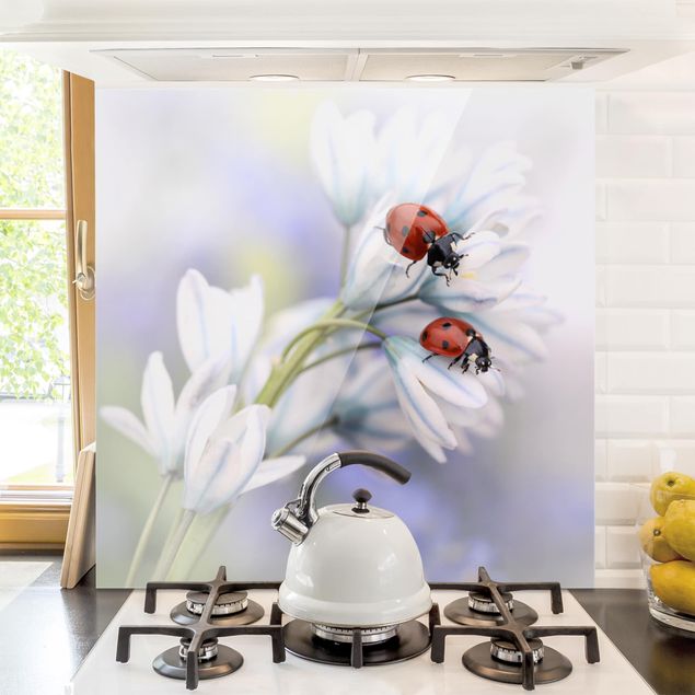 Déco mur cuisine Papillon et coccinelle sur des fleurs