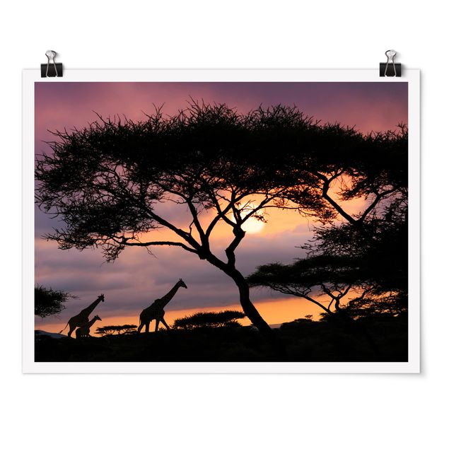Tableau arbres African Safari
