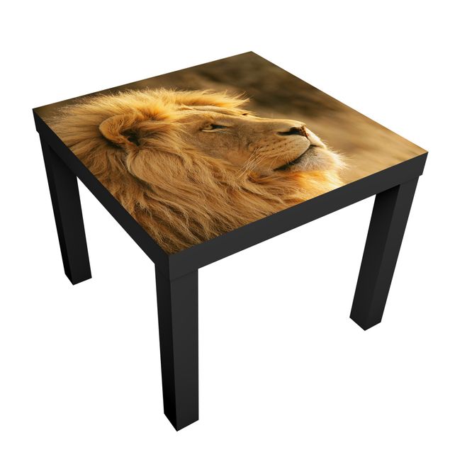 Revêtement adhésif pour meuble King Lion