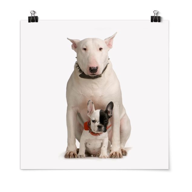 Tableaux moderne Bull Terrier et son ami