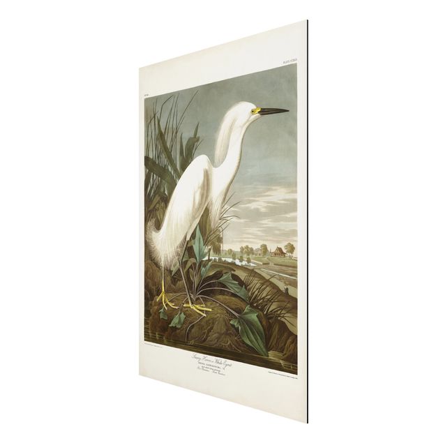 Tableau bord de mer Tableau Vintage Héron blanc I