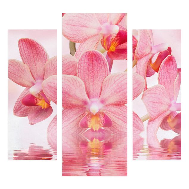 Tableaux fleurs Orchidée rose clair sur l'eau