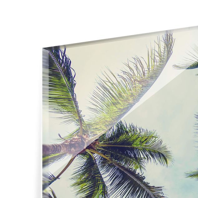 Fonds de hotte - The Palm Trees - Format paysage 4:3