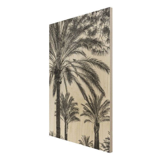 Tableaux en bois avec paysage Palmiers au coucher du soleil noir et blanc