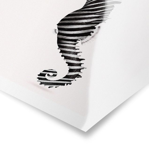 Posters en noir et blanc Hippocampe avec Des Rayures De Zèbre
