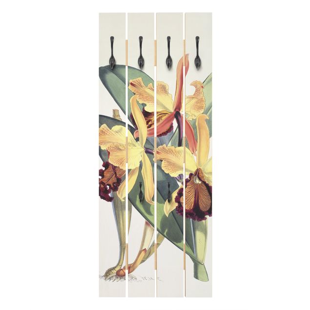 Porte manteau mural shabby chic Walter Hood Fitch - Orchidée