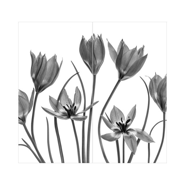 Revêtement mural de douche - Seven Tulips Black And White