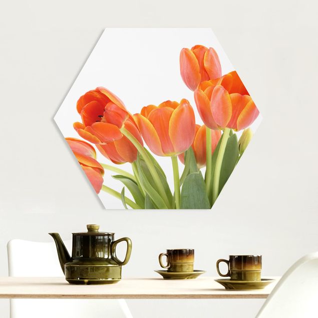Tableaux moderne No.191 Tulipes