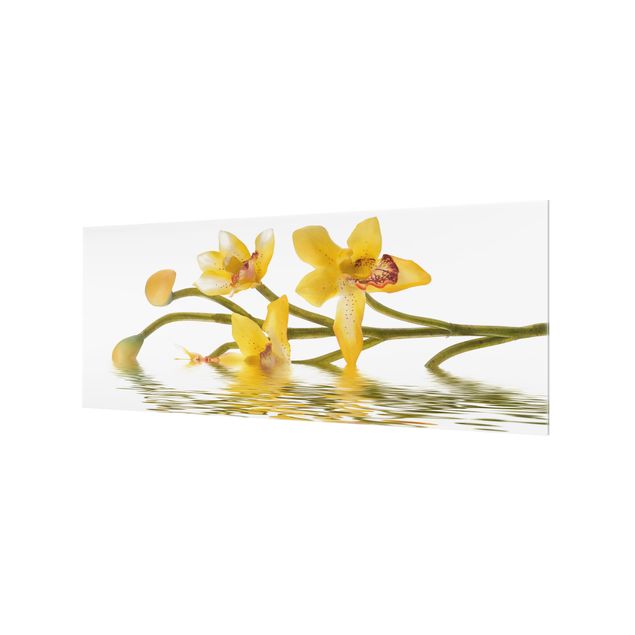 Fond de hotte - Saffron Orchid Waters