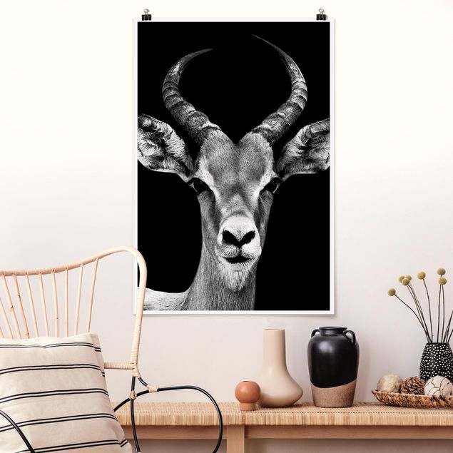 Déco mur cuisine Antilope Impala noir et blanc