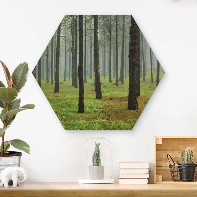 Tableaux en bois avec paysage Forêt profonde avec des pins sur La Palma