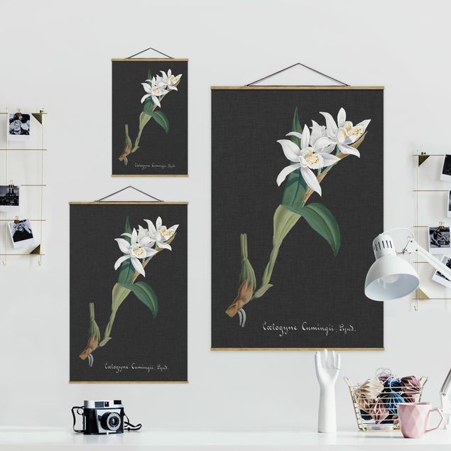 Tableau noir Orchidée blanche sur lin II