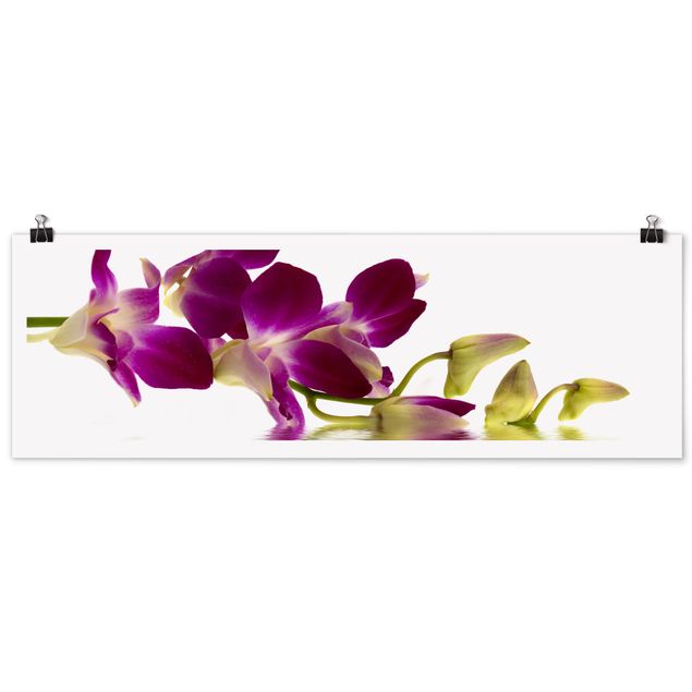 tableaux floraux Eaux d'orchidées roses