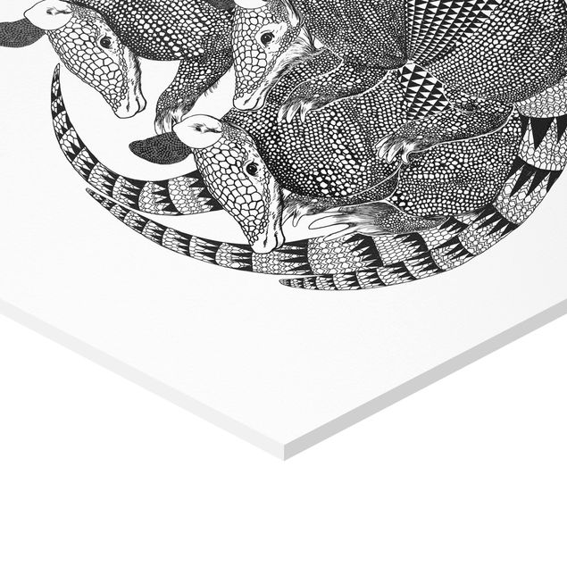 Tableau hexagonal Illustration Armadillos Motif Noir et Blanc