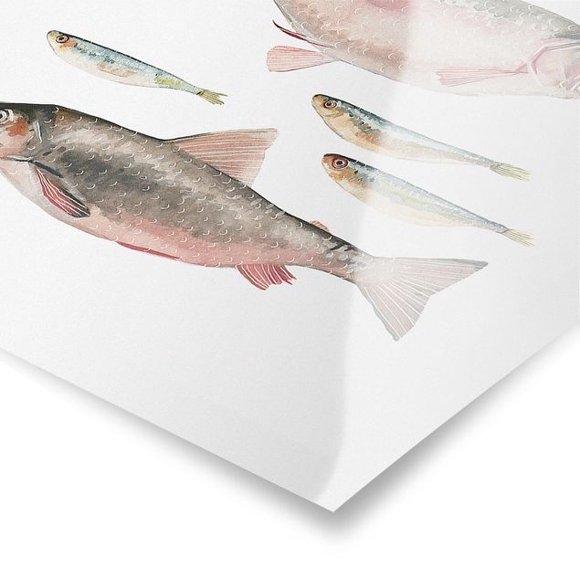 Tableaux Sept poissons à l'aquarelle I