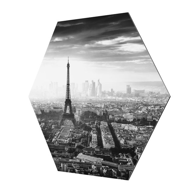 Tableau décoration La Tour Eiffel vue du ciel en noir et blanc