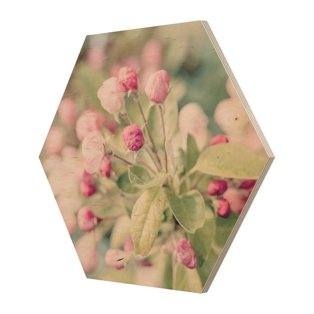 Tableaux de Andrea Haase Apple Blossom Bokeh Light Pink