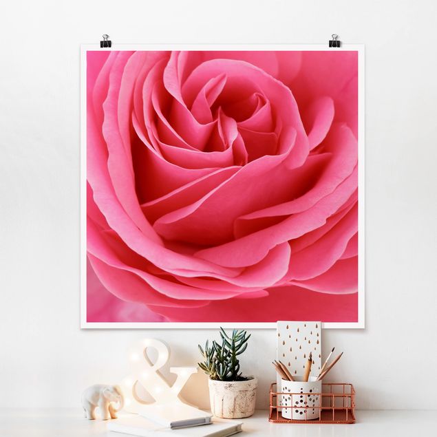 Tableau moderne Lustful Pink Rose