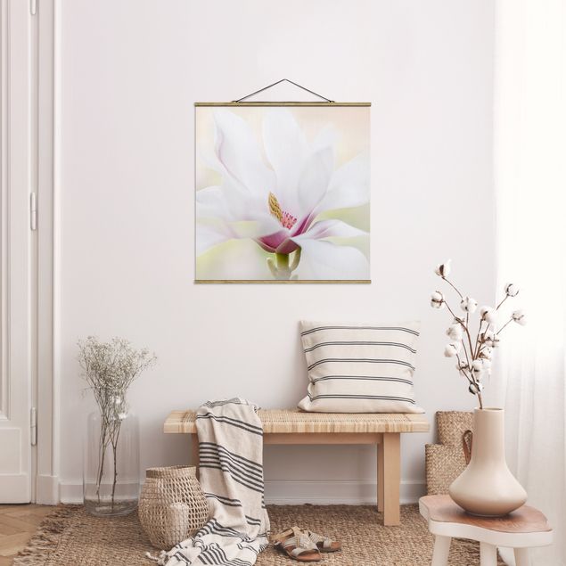 Tableaux fleurs Délicate fleur de magnolia