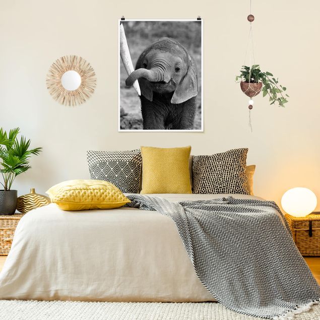 Posters en noir et blanc Bébé Eléphant